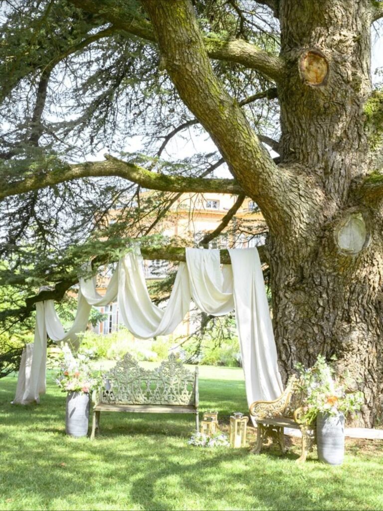 White fabric draped over a large tree branch above an ornate white garden bench.
