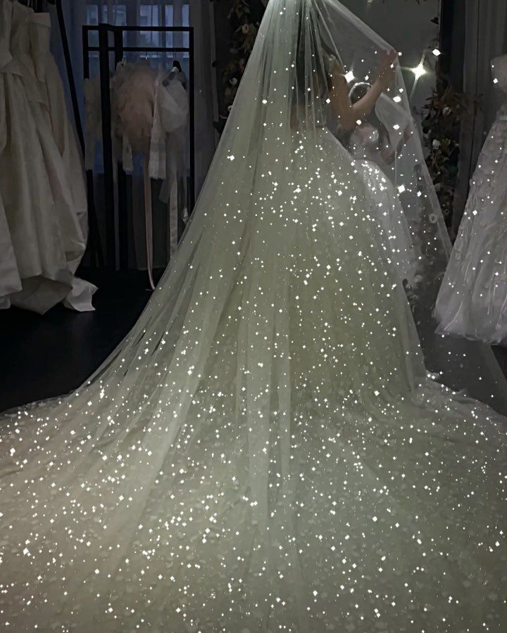 Sparkling white wedding dress with a long glittery train and matching veil.
