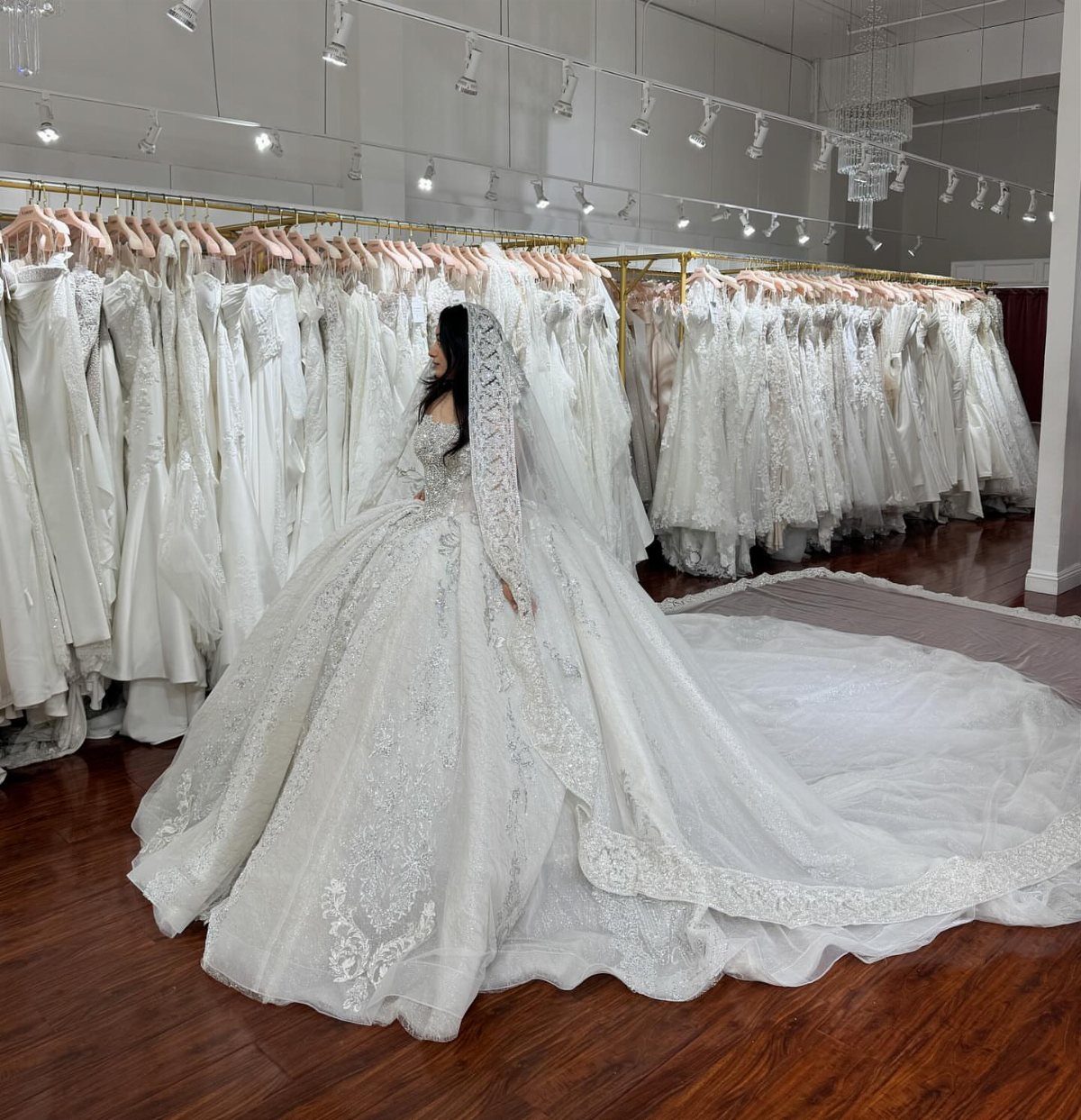 Woman in a voluminous white lace wedding dress with a long train and veil.
